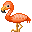 フラミンゴ flamingo