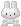 白うさぎ white rabbit