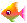 虹色の熱帯魚のアニメ1