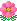 小さなコスモスの花のアニメーション